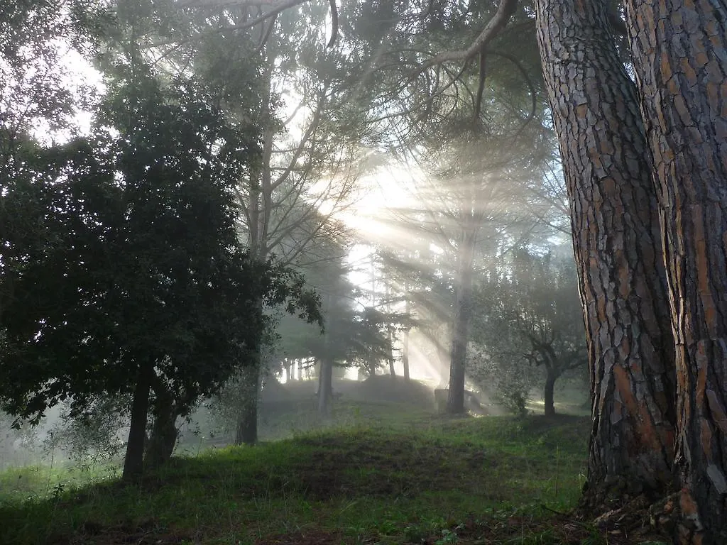 Agriturismo Terre Della Rinascita Castelnuovo della Misericordia Gospodarstwo agroturystyczne